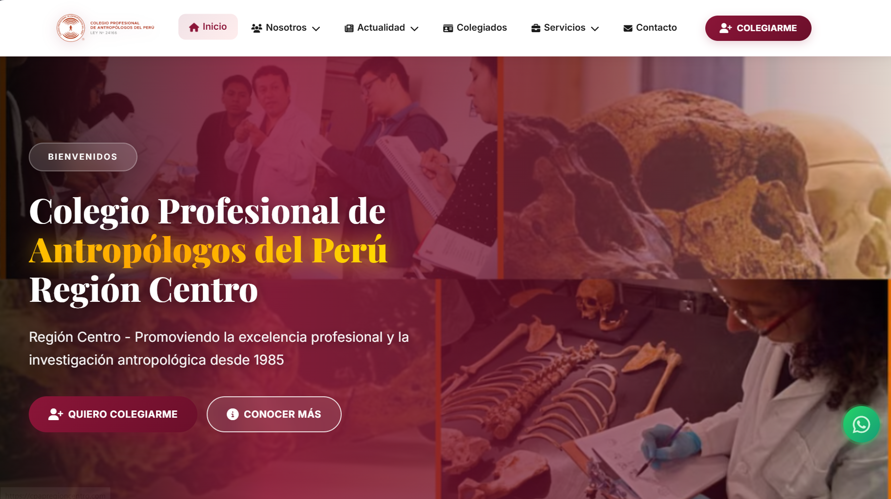 Gestión Web e Infraestructura Digital: Colegio Profesional de Antropólogos del Perú - Región Centro
