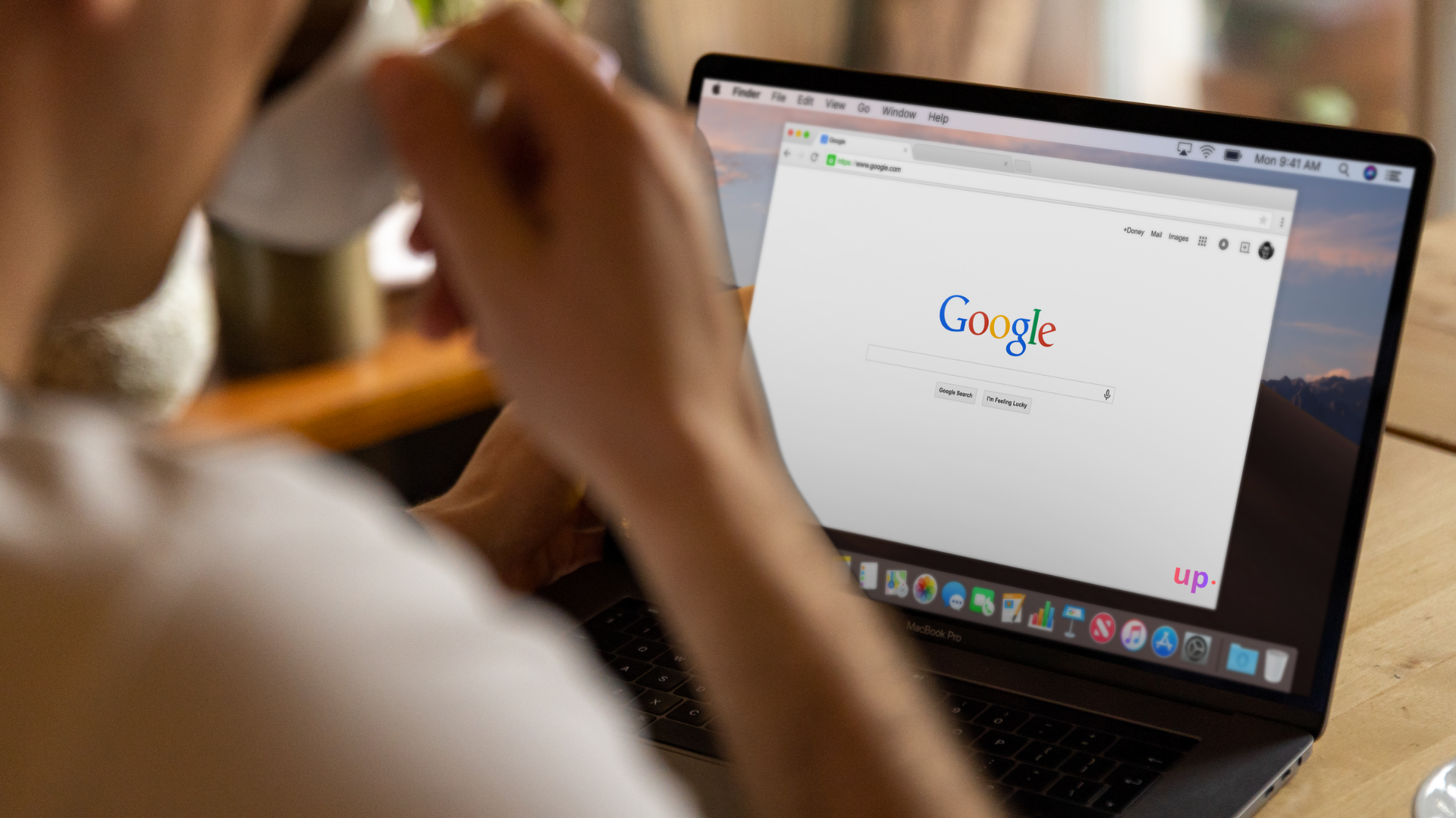 SEO Profesional